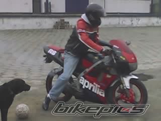 Bike Photo 775541