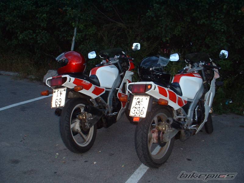 Photo 77582
