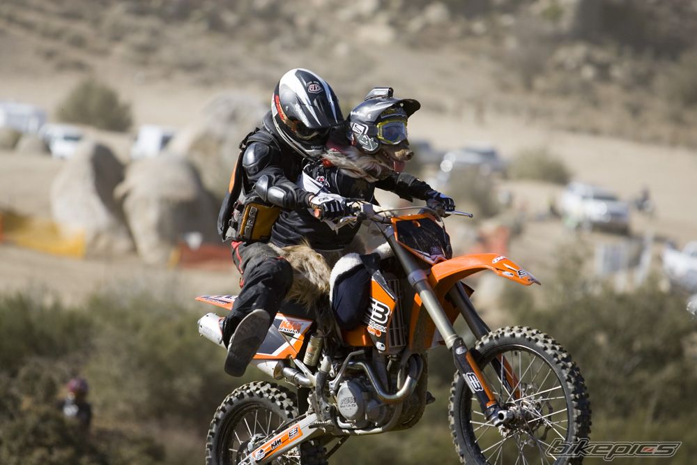 Bike Photo 775981