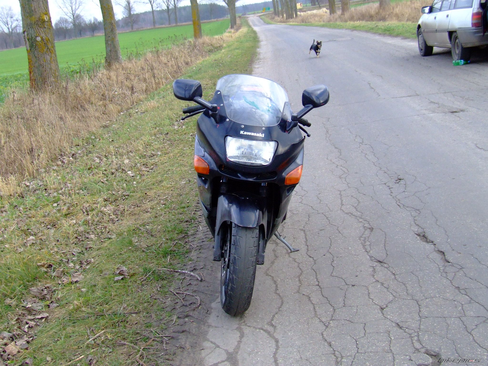 Photo 776162