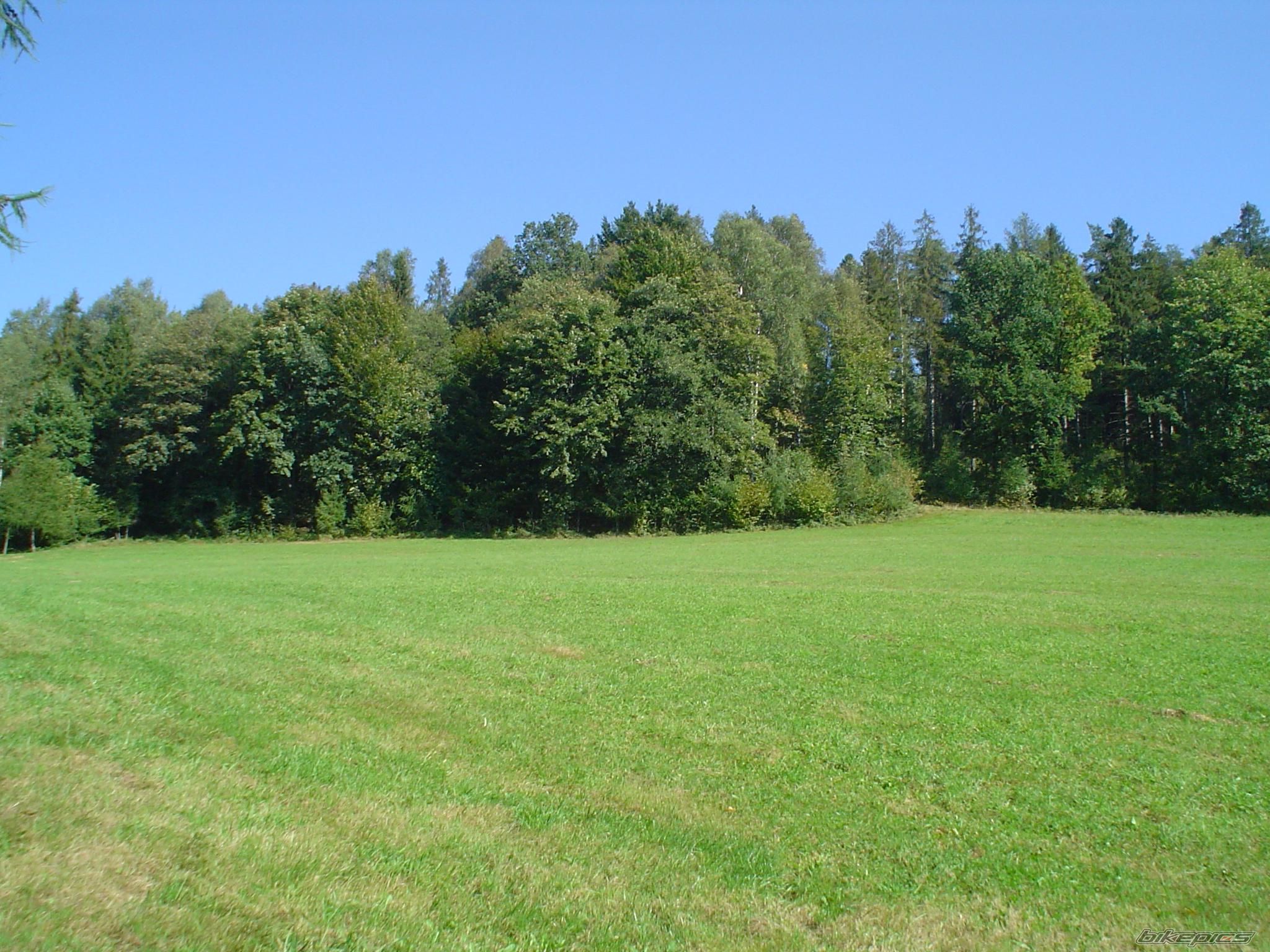 Photo 776245