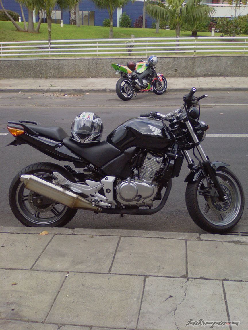 Photo 776776