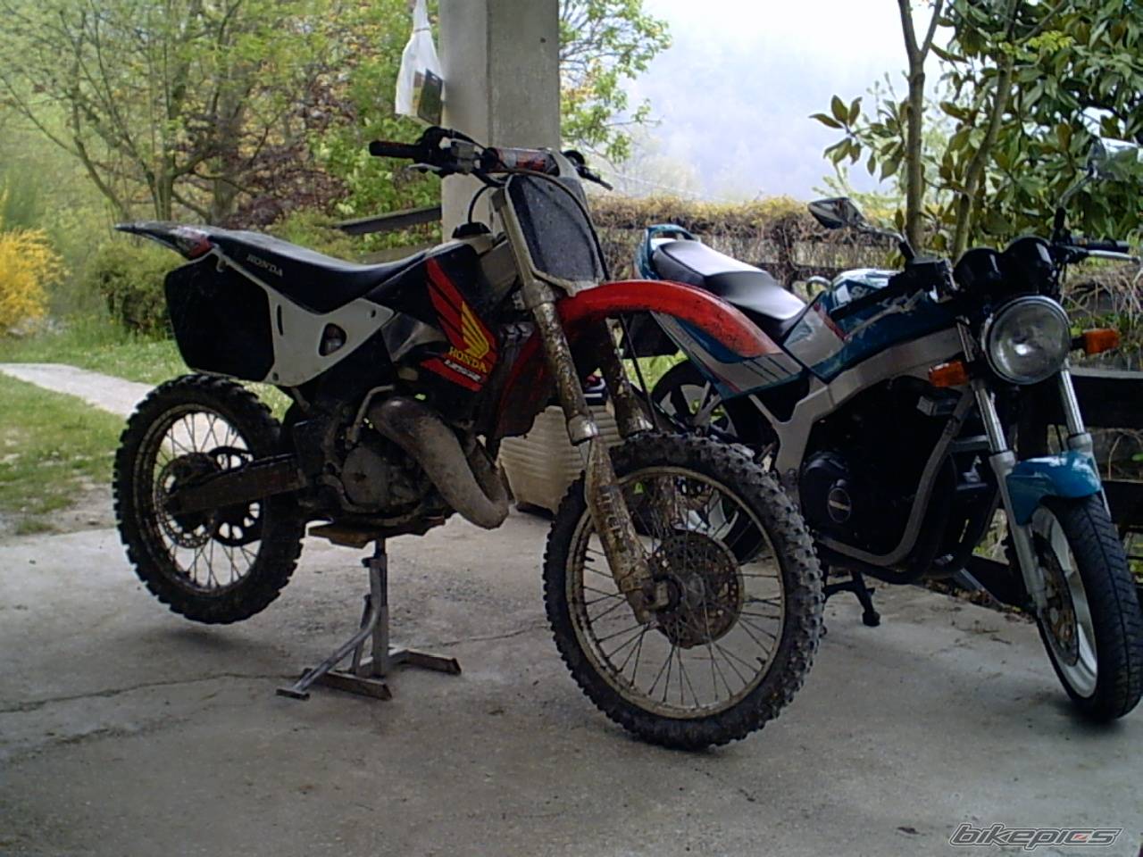 Photo 77731