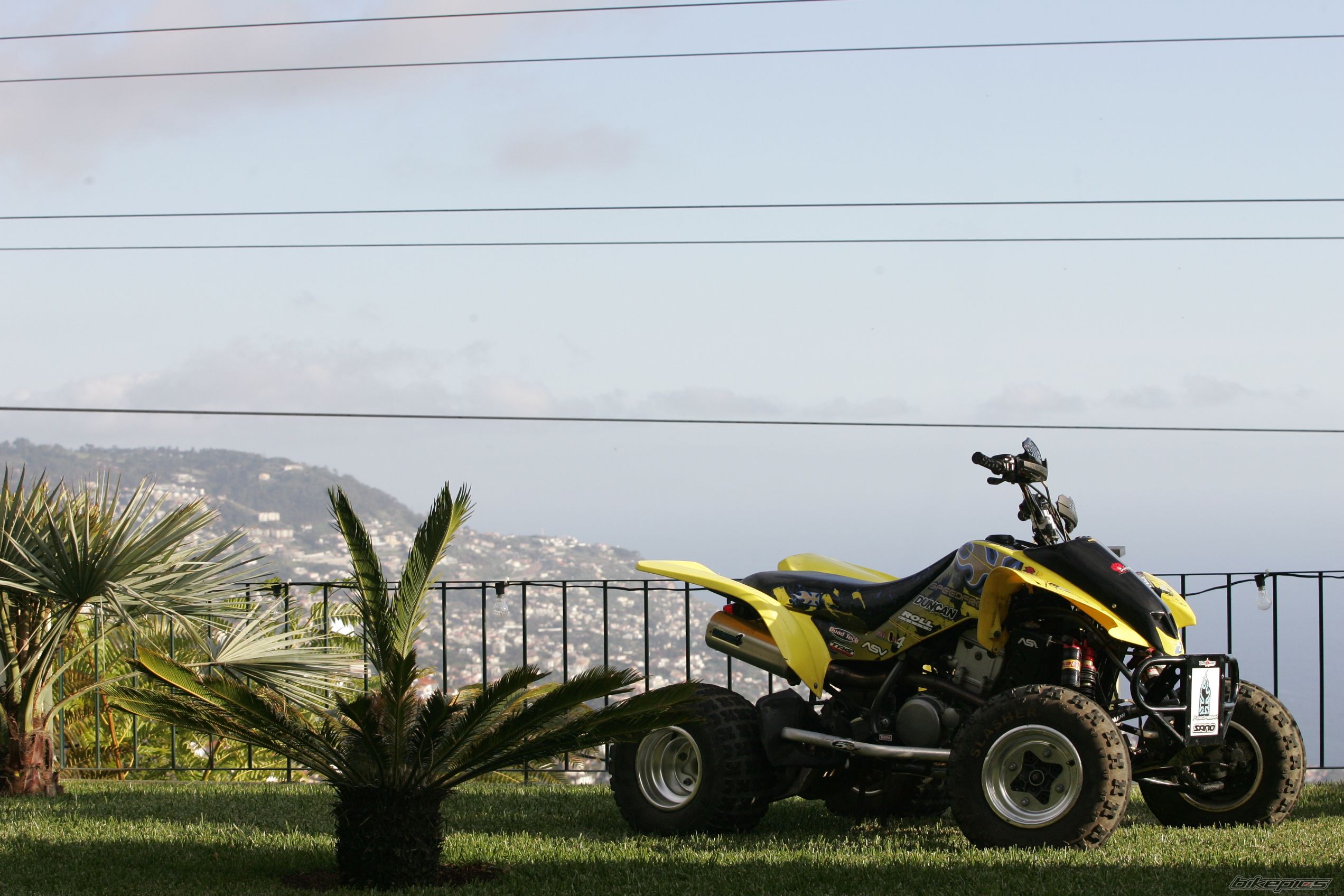 Photo 777397