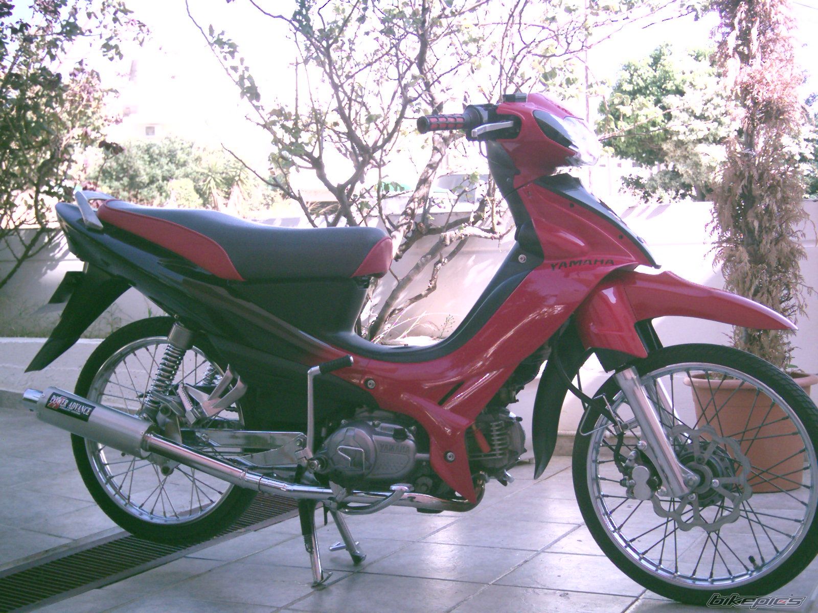Photo 777452