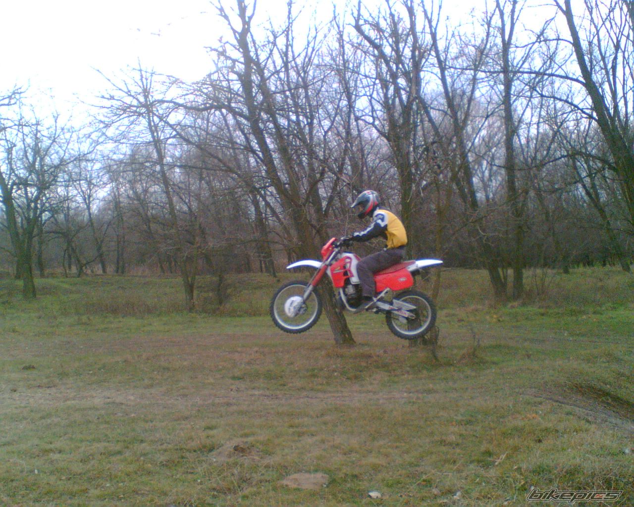 Photo 777704