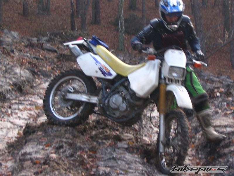 Photo 778015