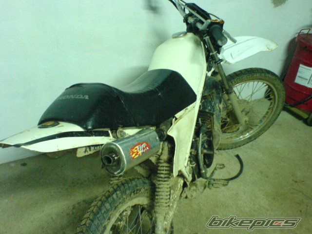 Photo 778194