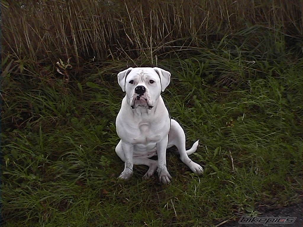 Photo 77836