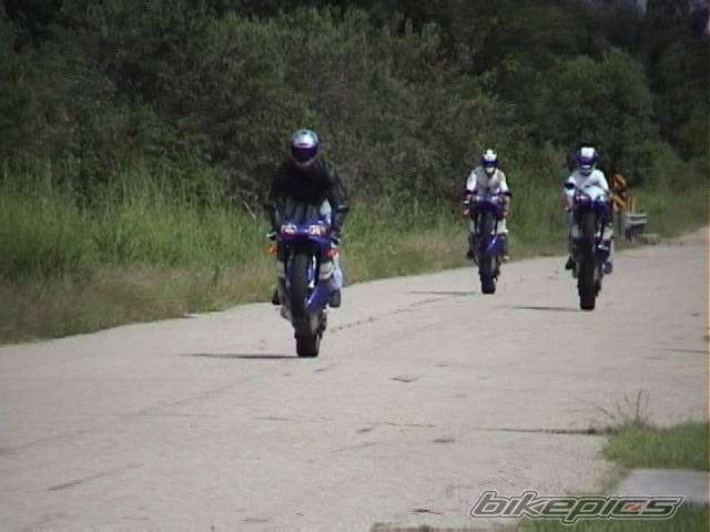 Photo 7785