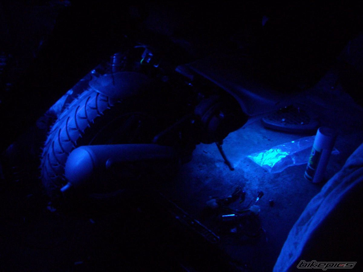 Photo 778506