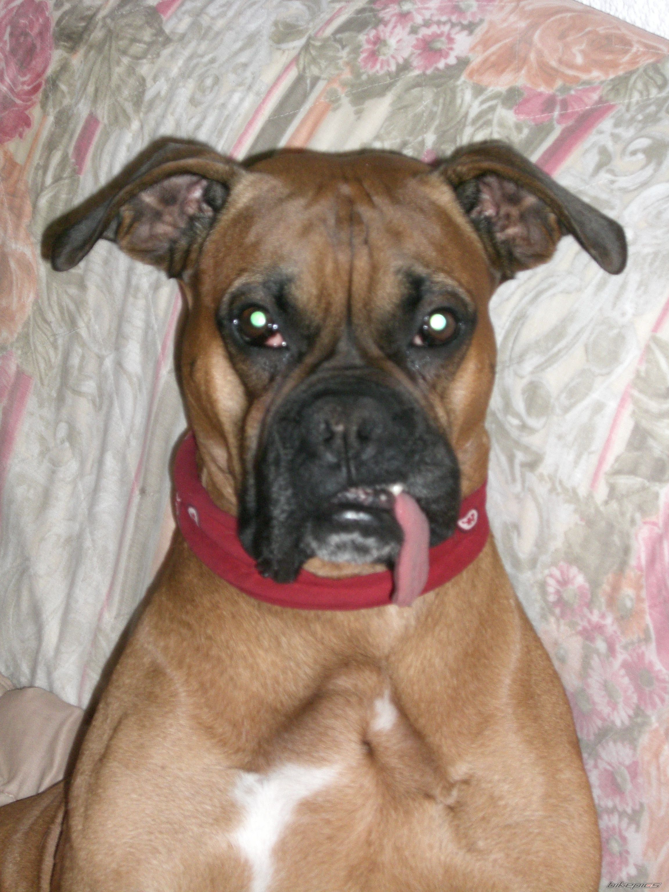 Photo 778529