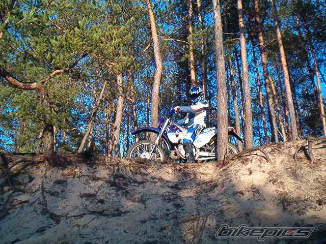 Photo 778568