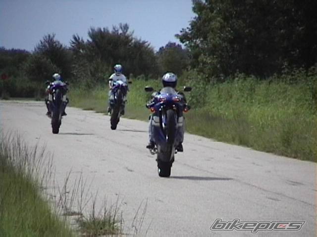 Photo 7786