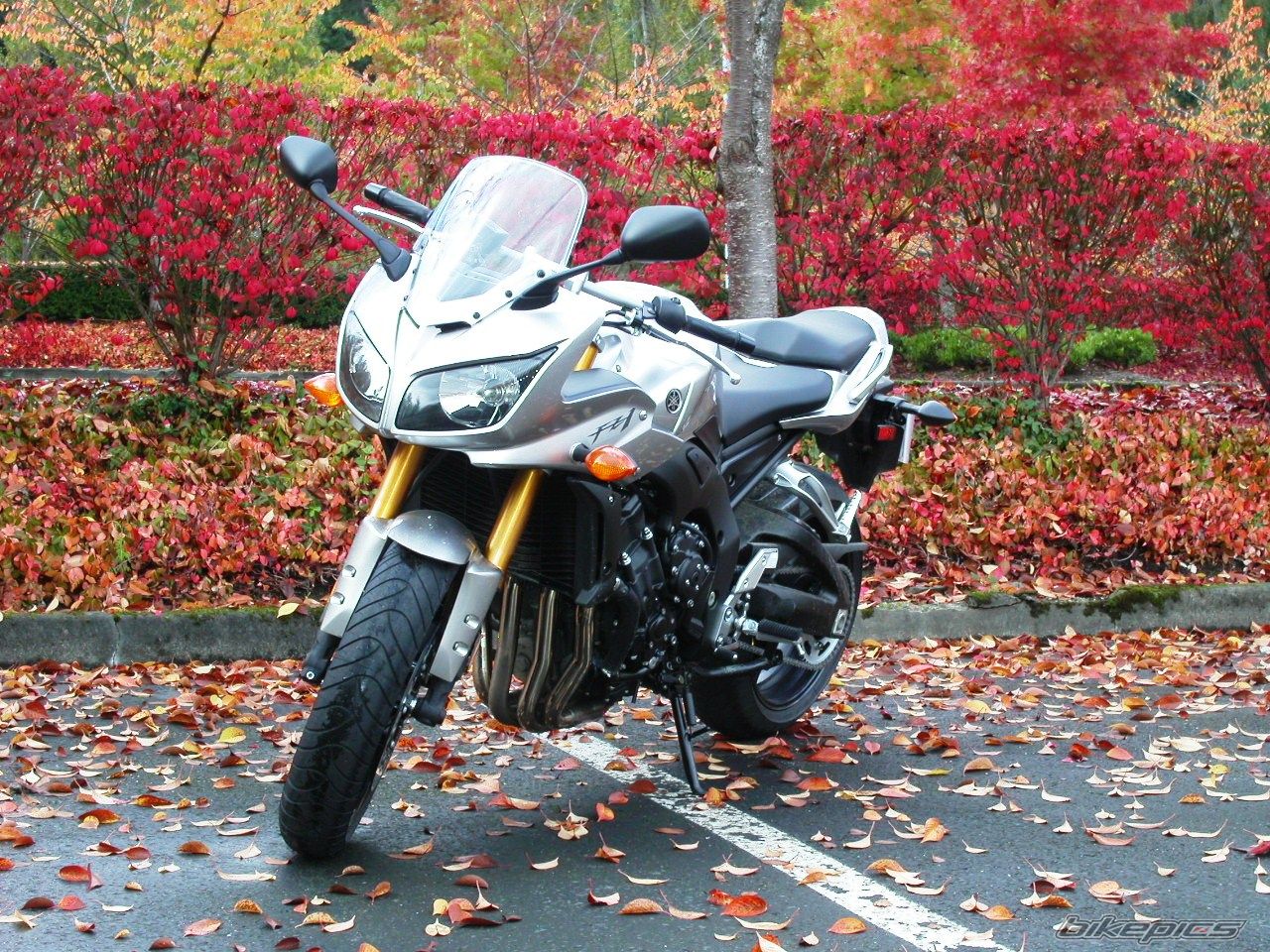 Bike Photo 778869