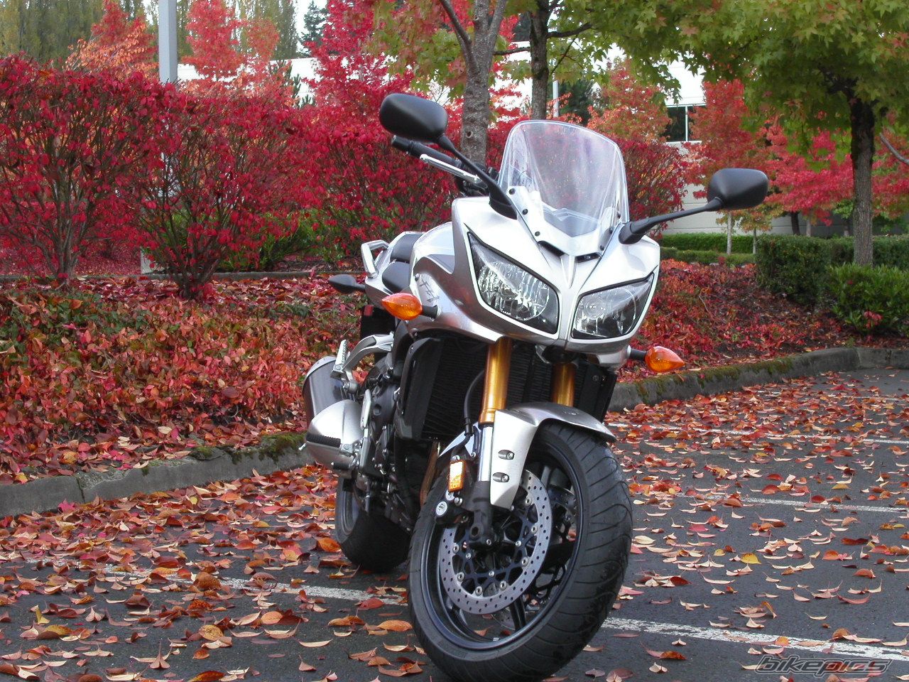 Bike Photo 778870