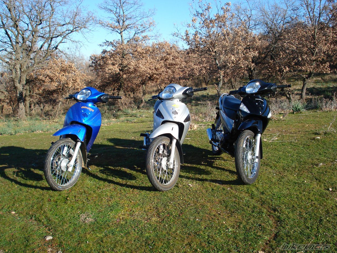 Bike Photo 779371