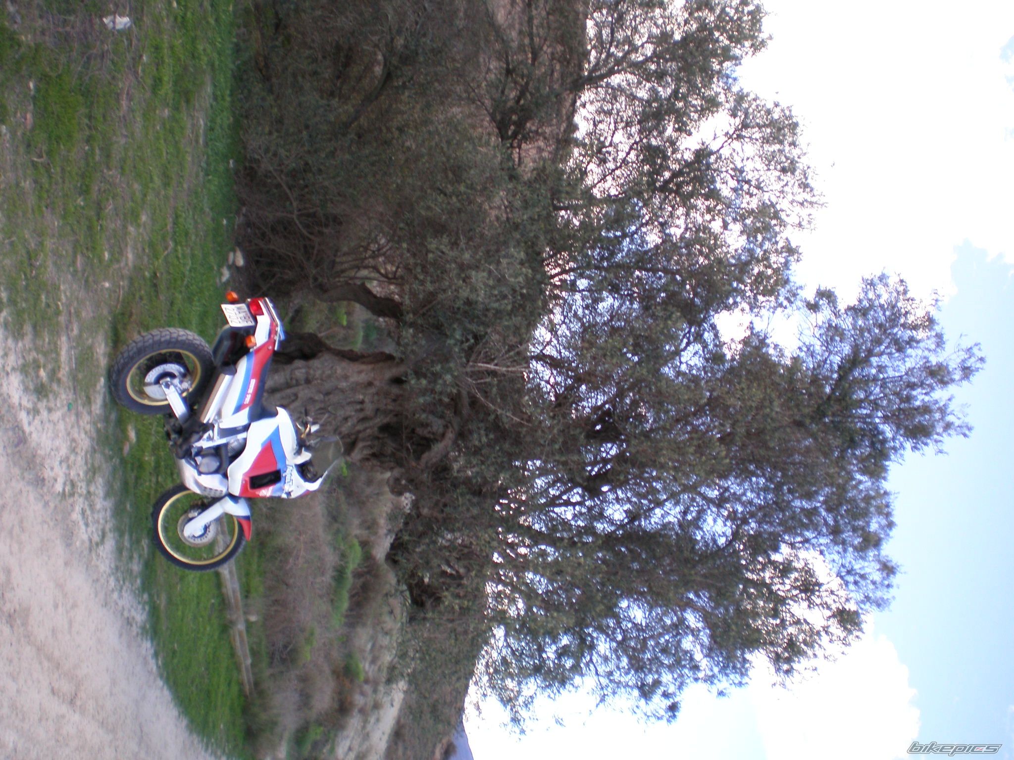 Photo 779396