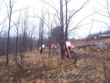 Bike Photo 779517