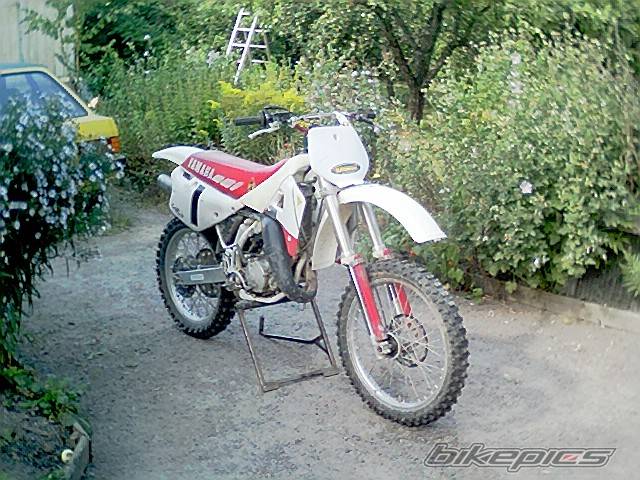Photo 77984