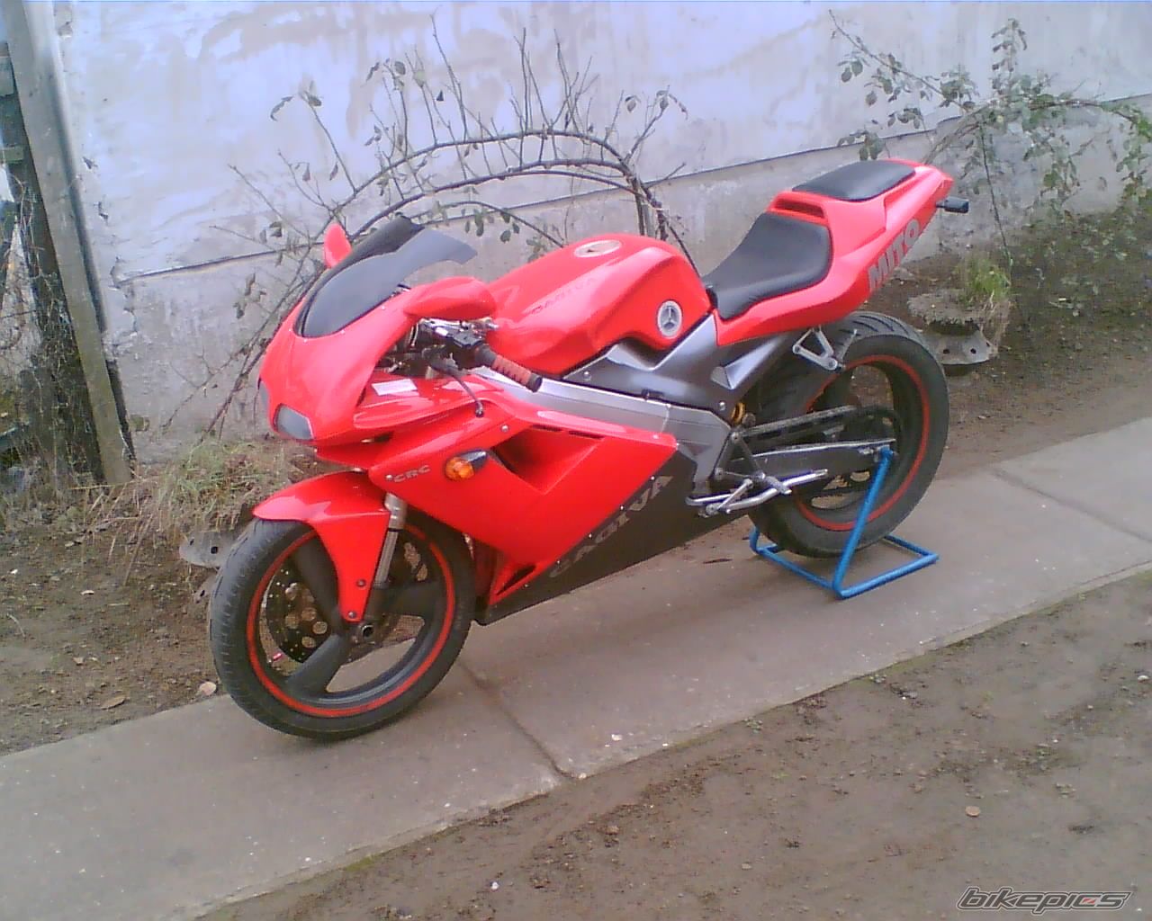 Photo 779968