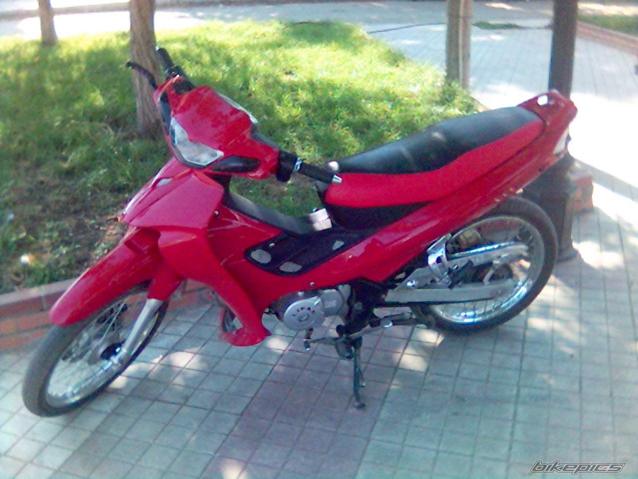 Photo 780063