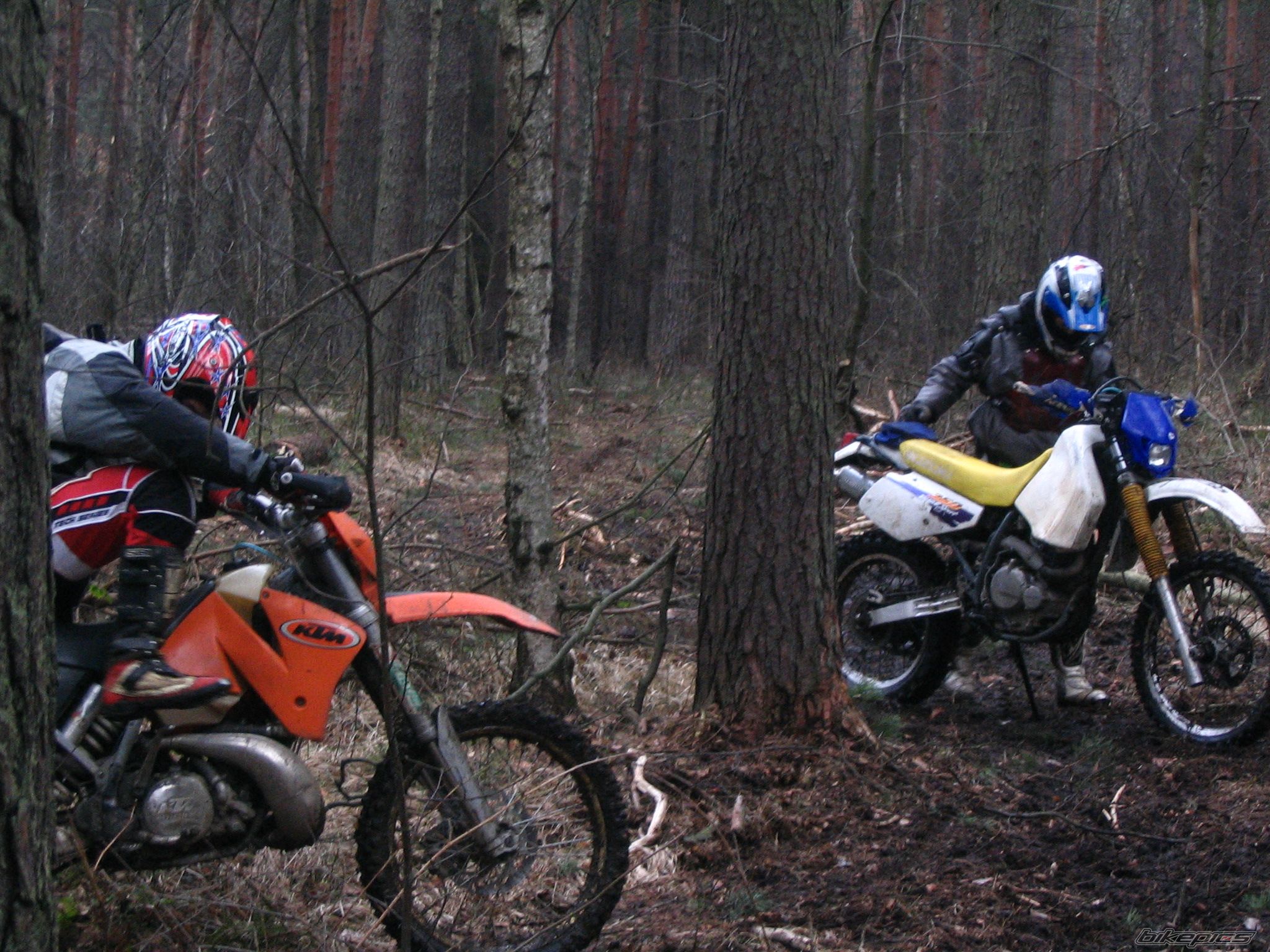 Photo 780112