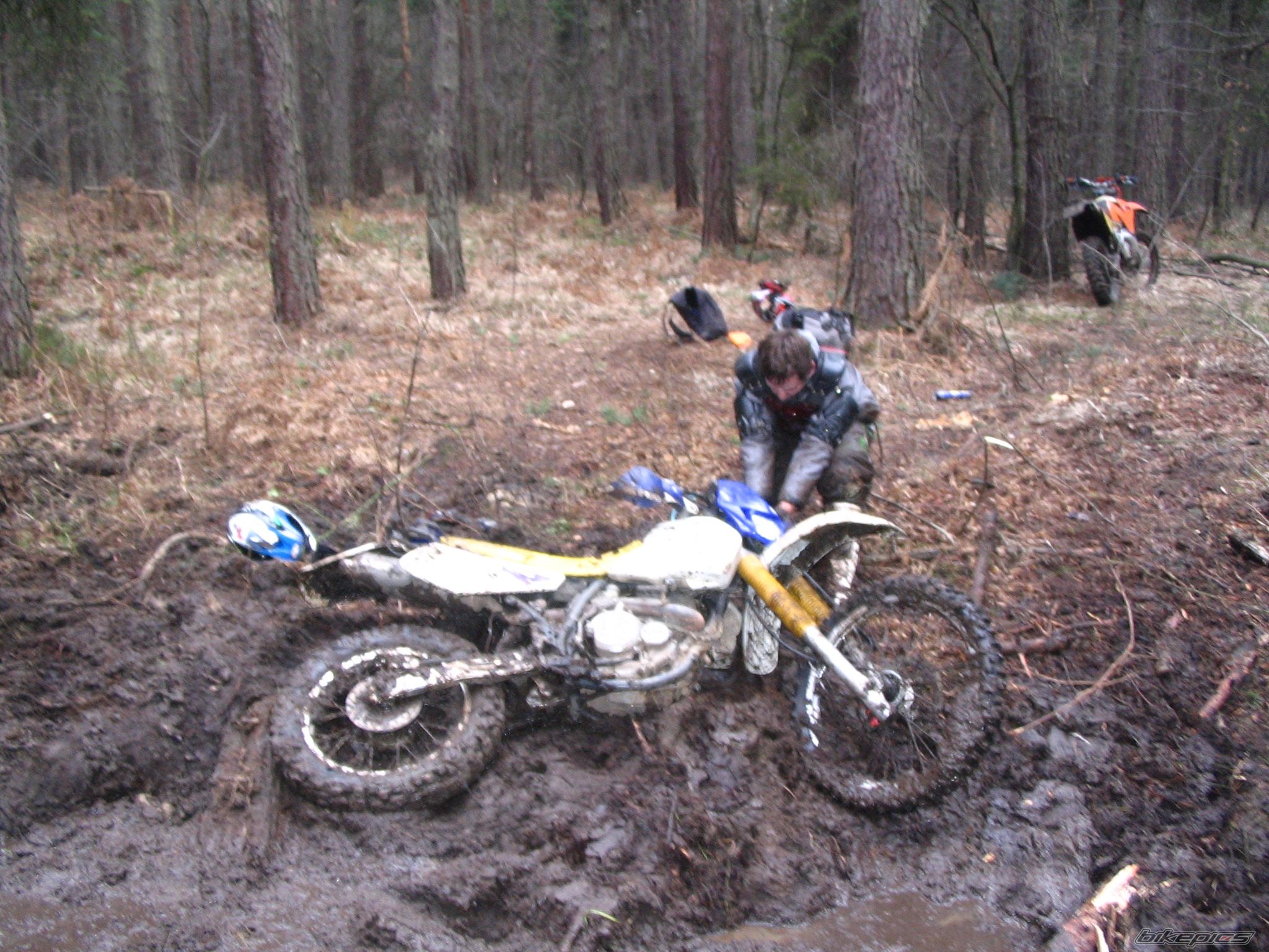 Photo 780113