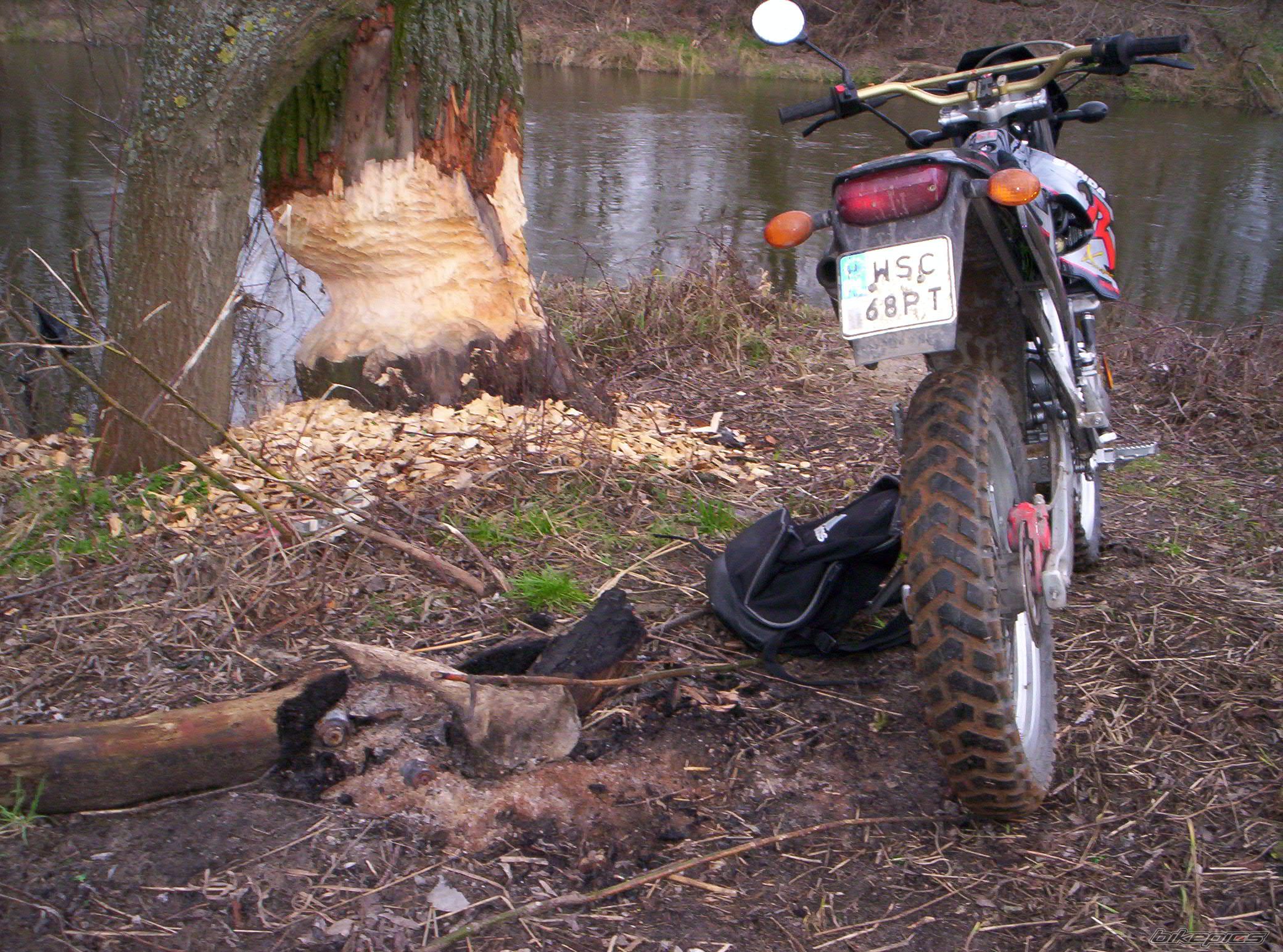 Photo 780191