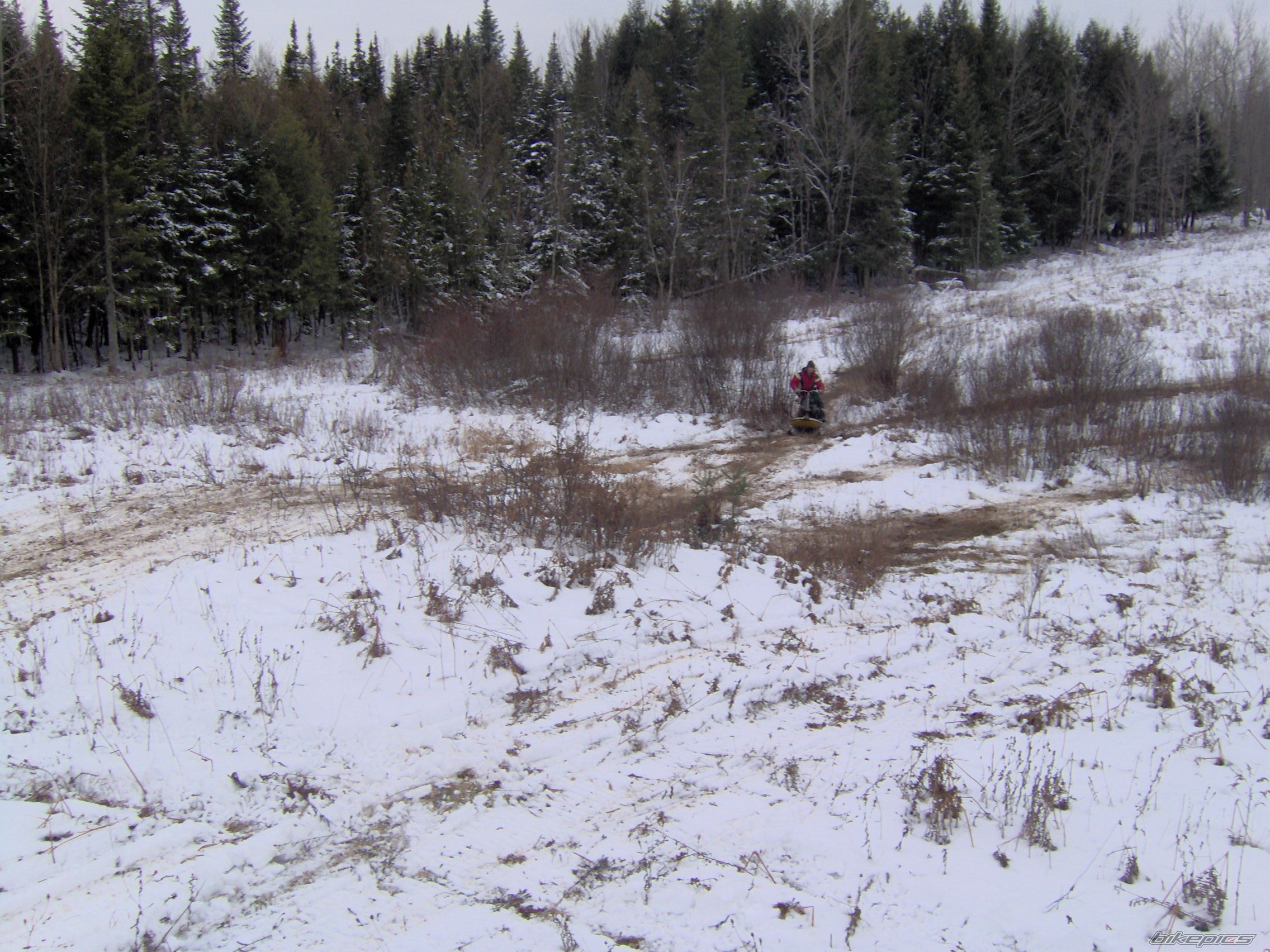Photo 780240