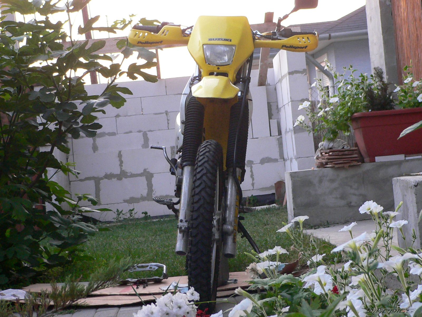 Photo 780709