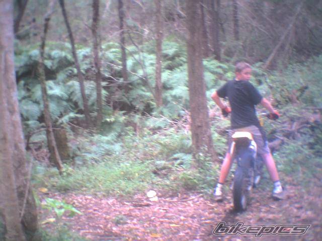 Photo 78073