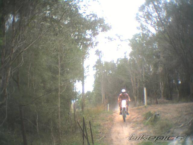 Photo 78076