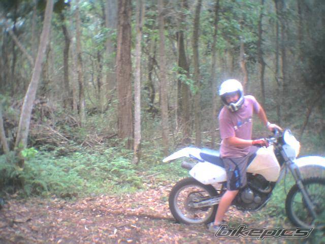 Photo 78077