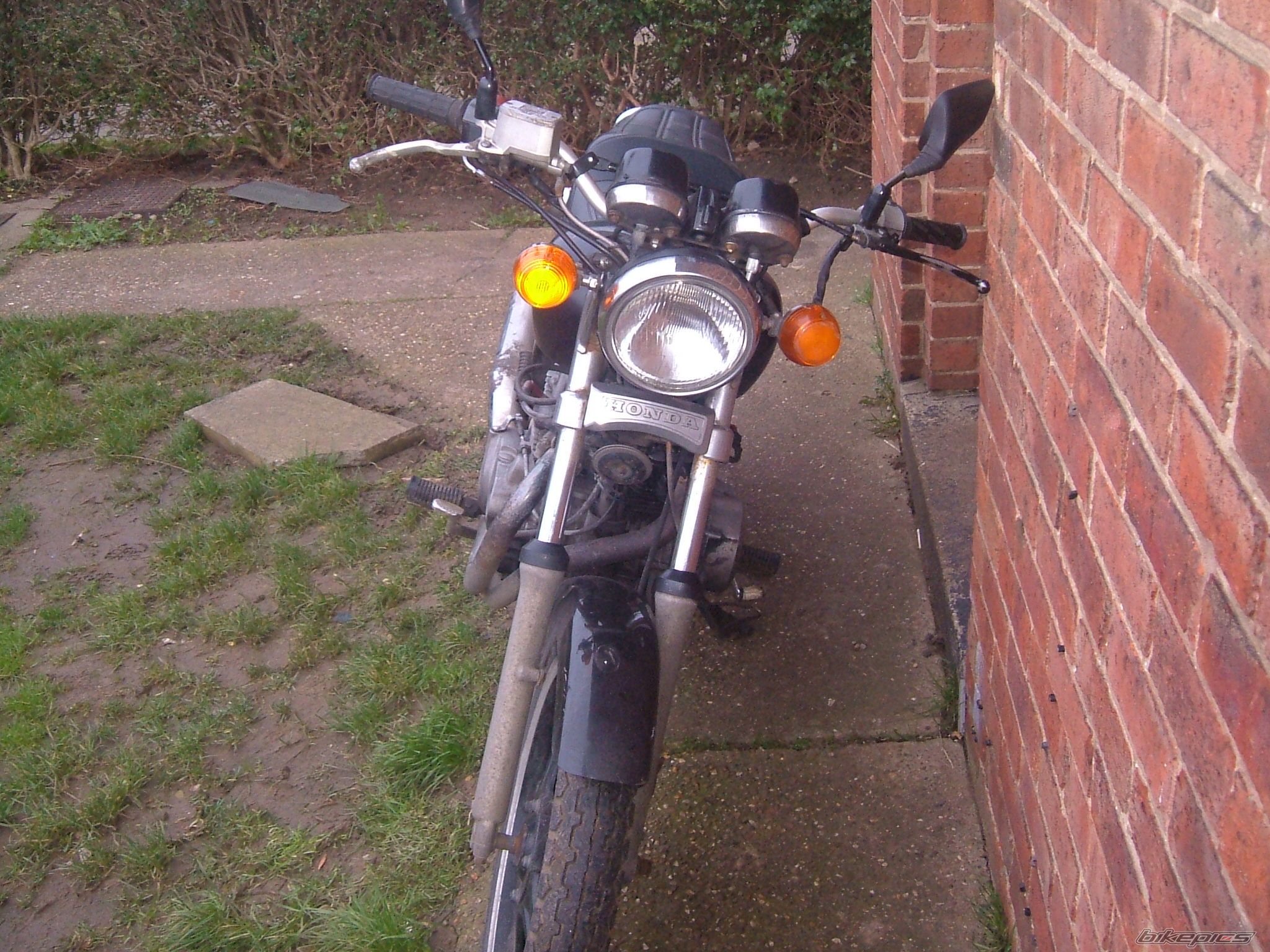 Photo 780789