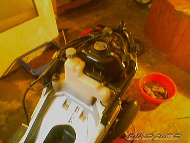 Photo 781087