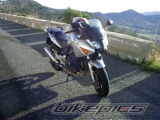 Photo 781099