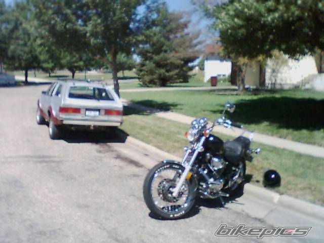 Photo 7811