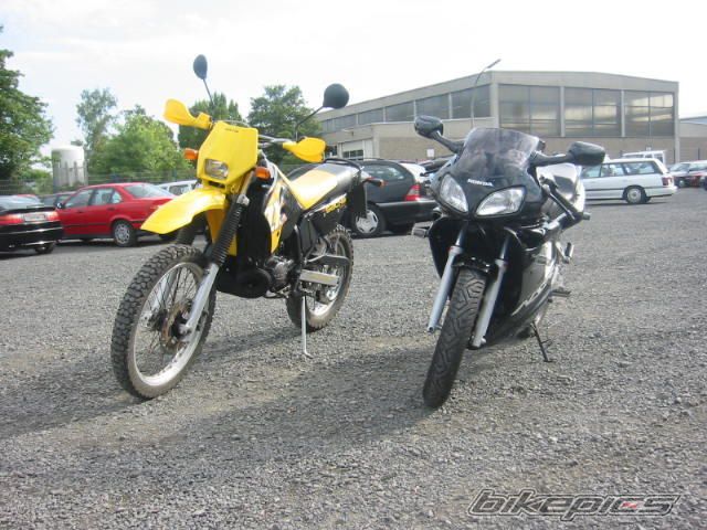 Photo 781153