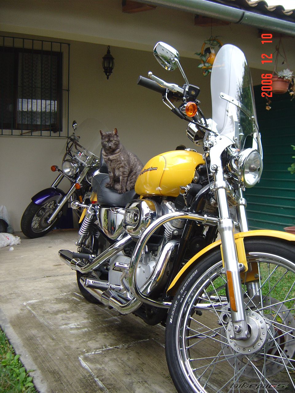 Photo 781226