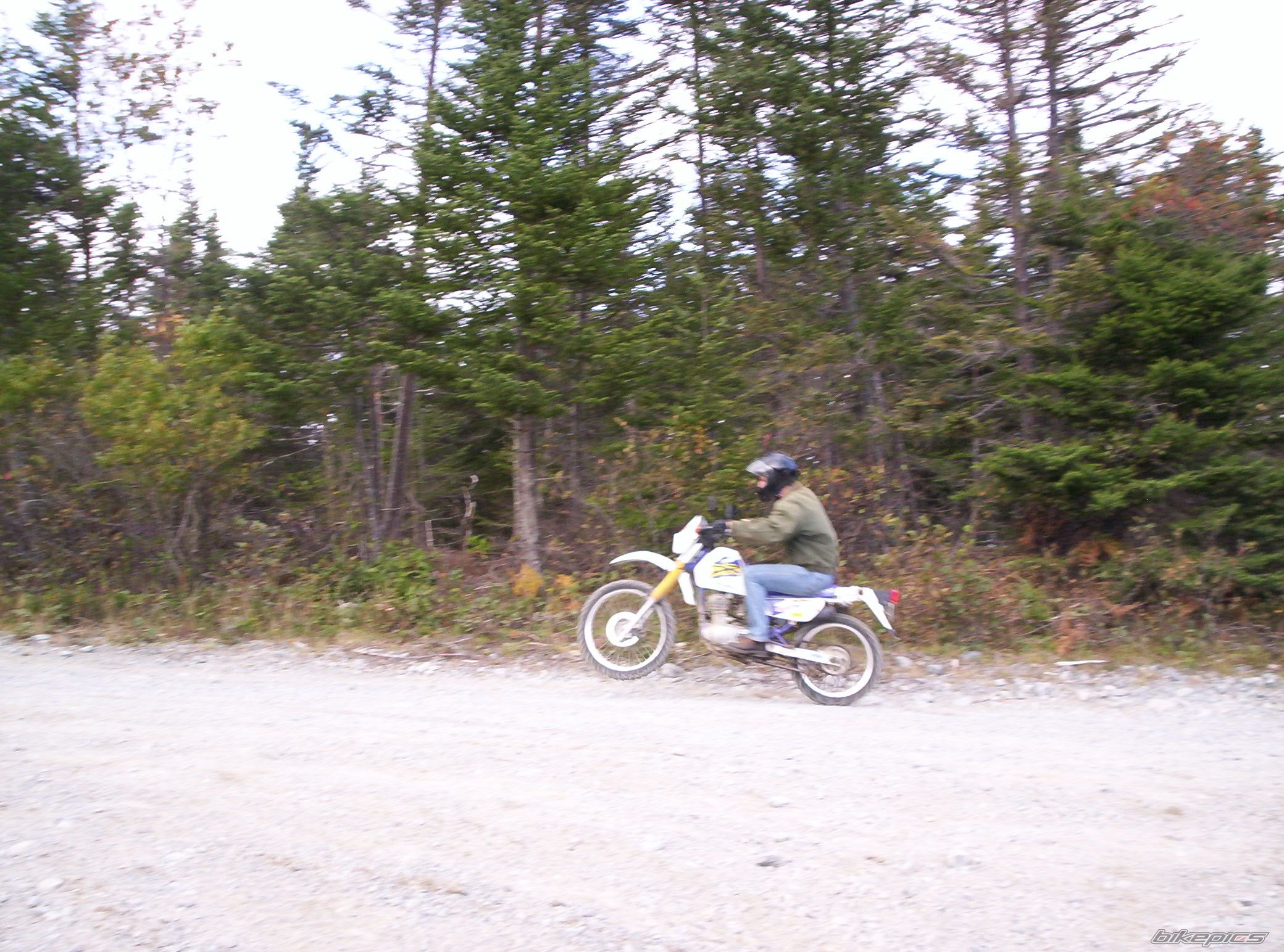 Photo 781255