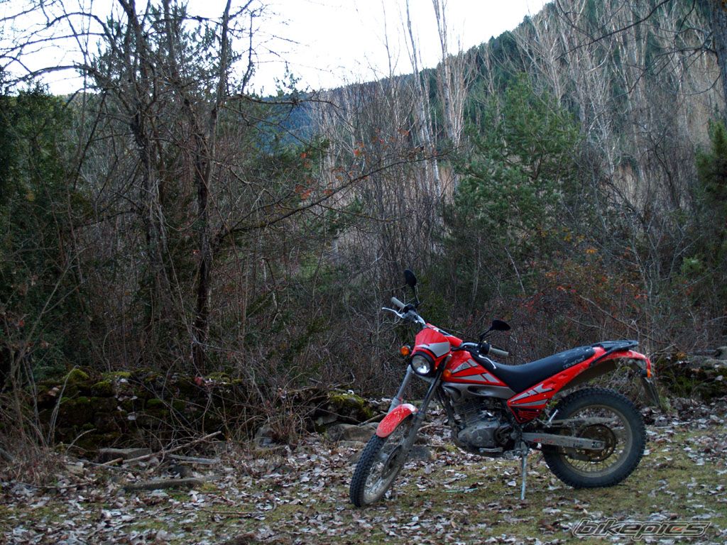 Photo 781374