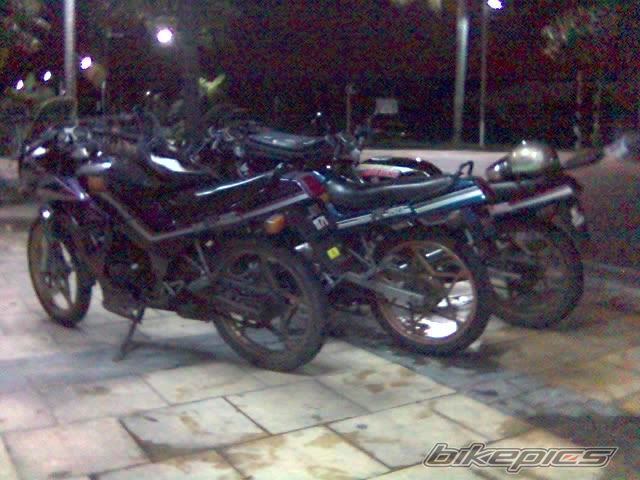 Photo 781466