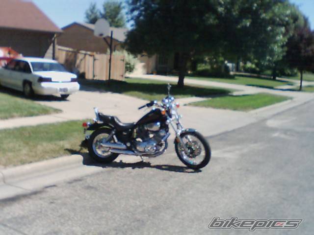 Photo 7815