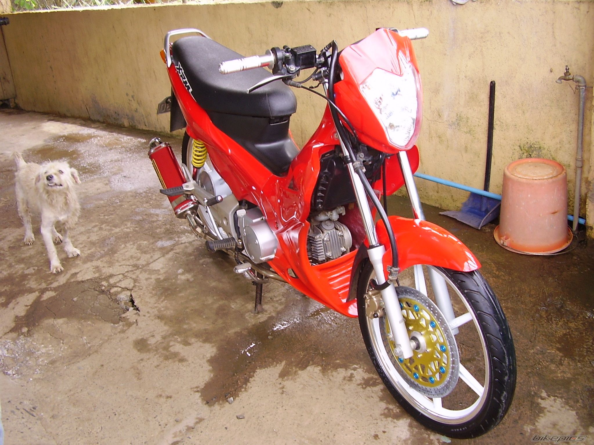 Bike Photo 781588