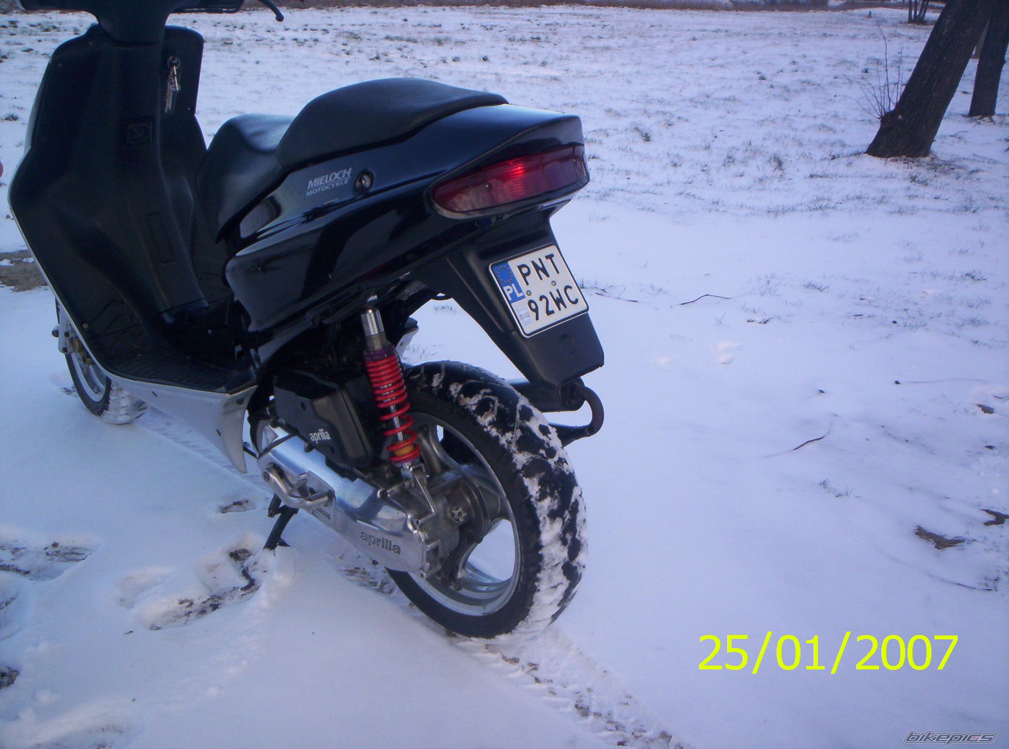 Photo 781704