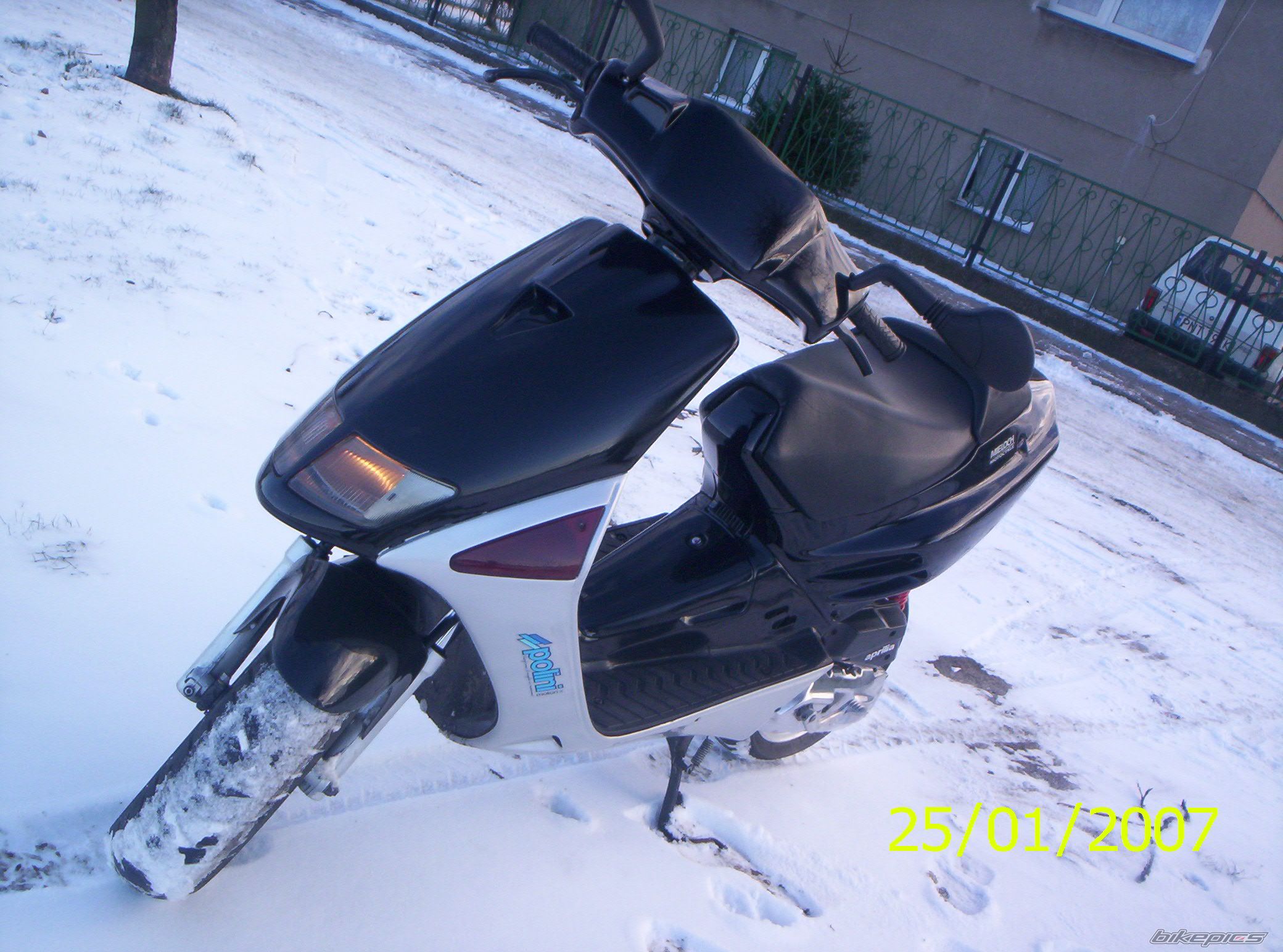 Photo 781706