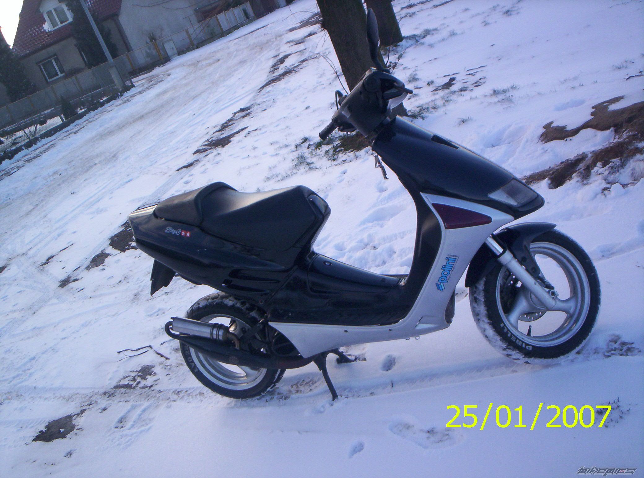 Photo 781707