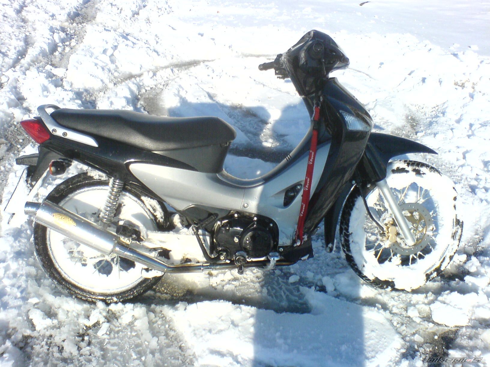 Photo 781741