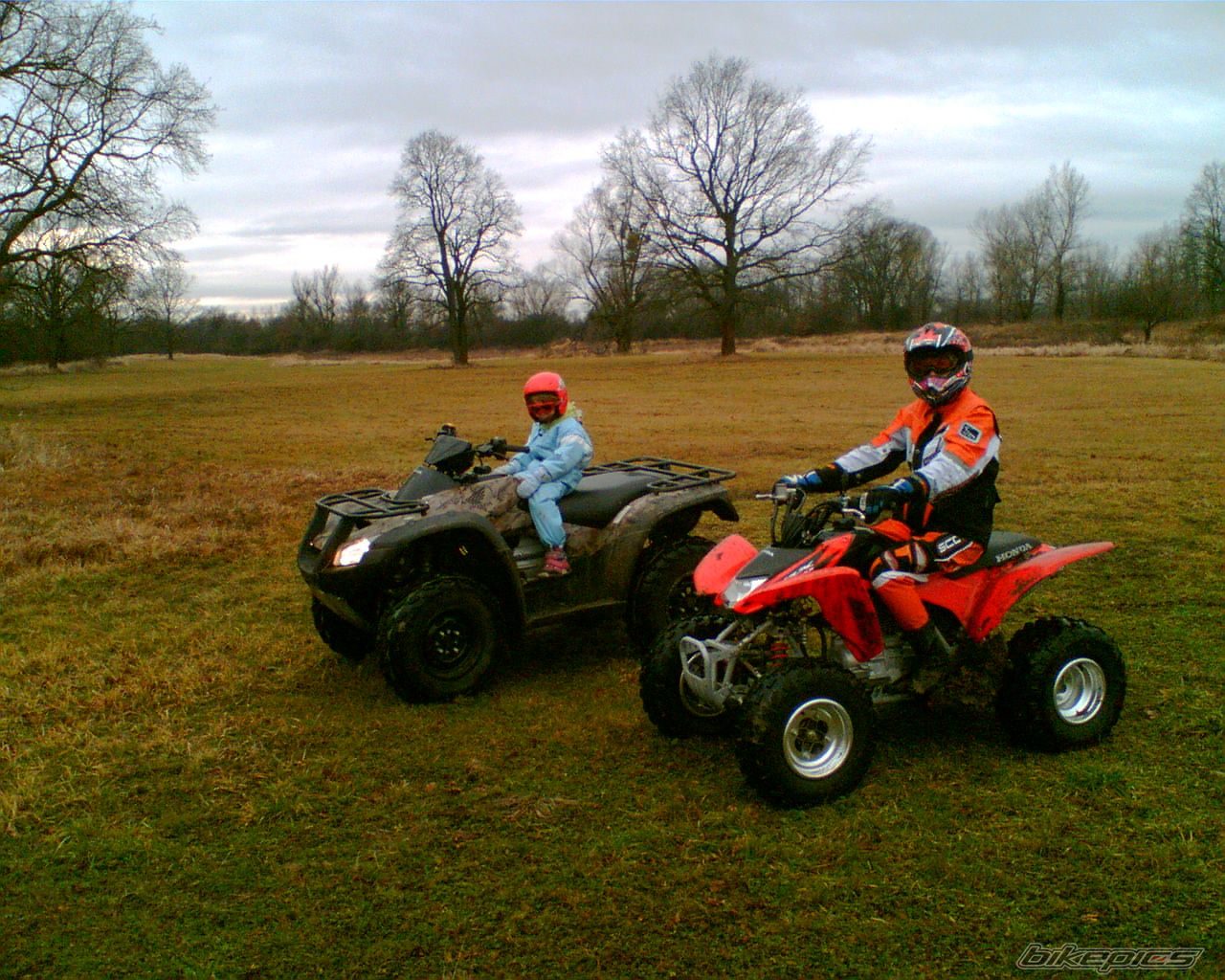 Photo 781784